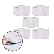 Load image into Gallery viewer, Replacement PM 2.5 Filter Pack [Set of 5]wrf